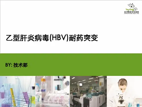 乙型肝炎病毒(HBV)耐药突变