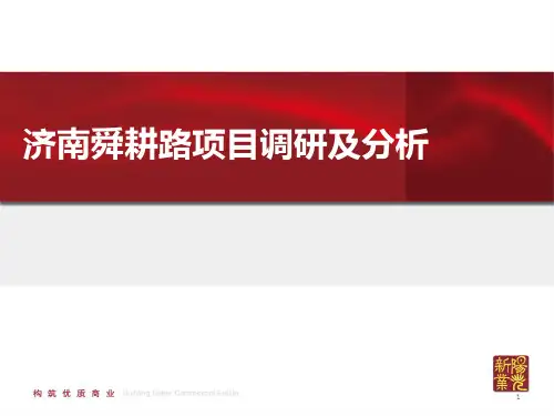 济南舜耕路项目调研及分析