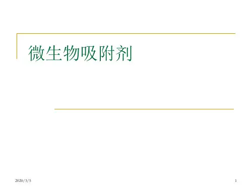 (自然科学)微生物吸附剂