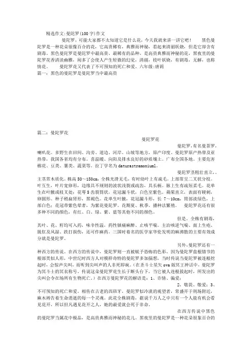 曼陀罗(100字)作文