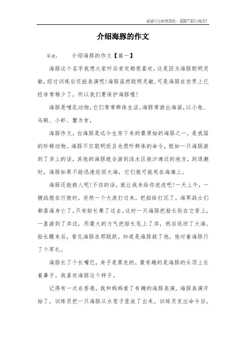 介绍海豚的作文