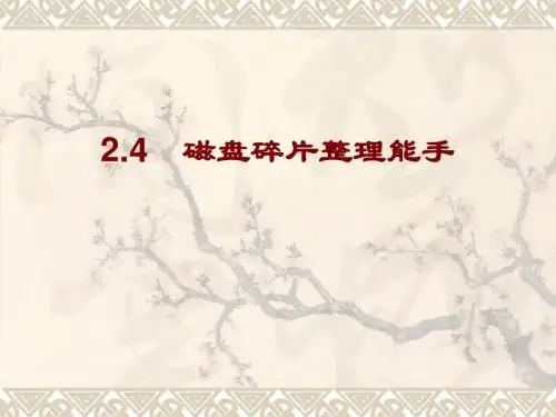 2.4磁盘碎片整理能手VoptXP