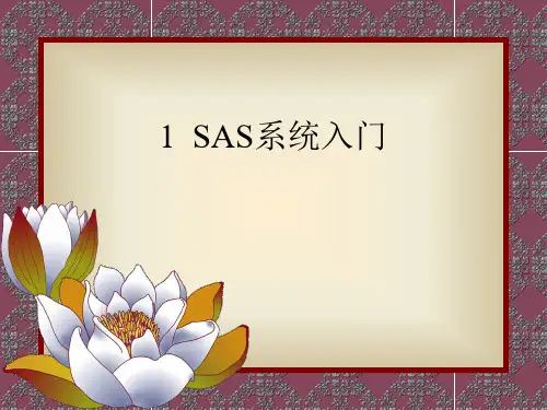 讲稿1 SAS系统入门