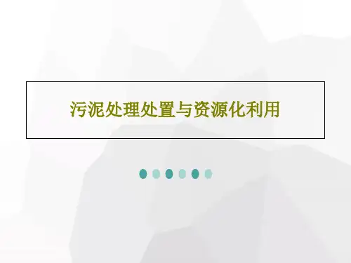 污泥处理处置与资源化利用24页PPT