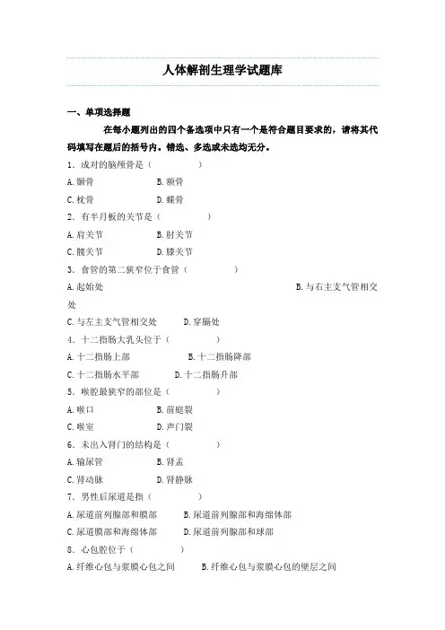 人体解剖生理学试题