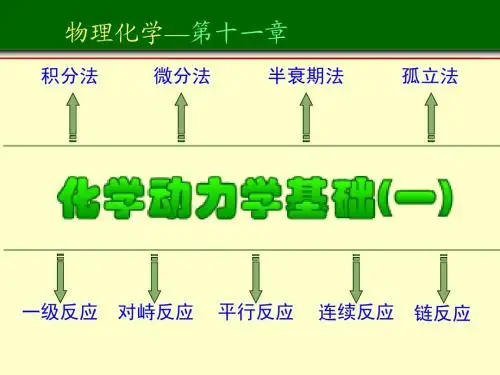 2010 第十一章化学动力学基础(一)第1部分