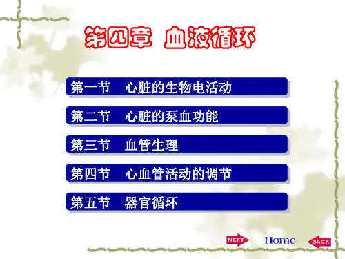 生理学血液循环01
