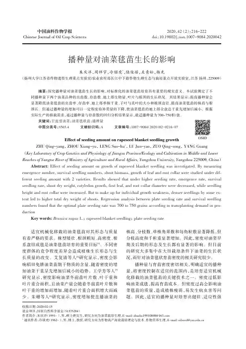播种量对油菜毯苗生长的影响