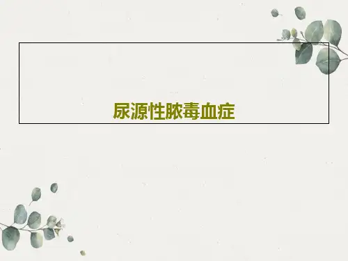尿源性脓毒血症共85页文档