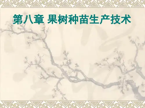 第八章_果树种苗生产技术