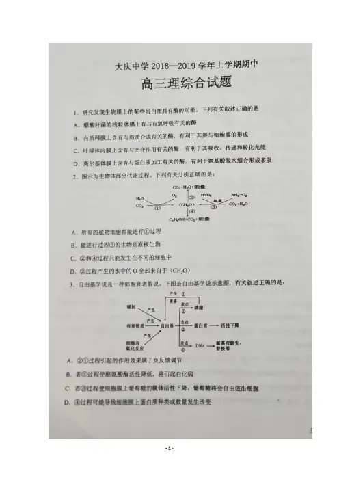 黑龙江省大庆中学2019届高三上学期期中考试理科综合试题 扫描版含答案