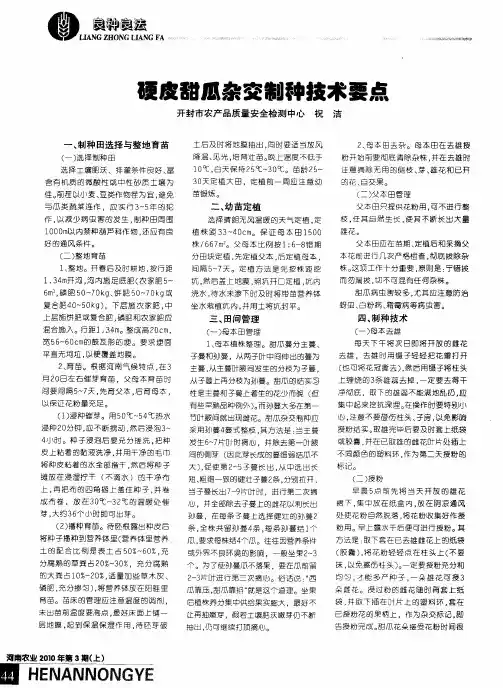 硬皮甜瓜杂交制种技术要点