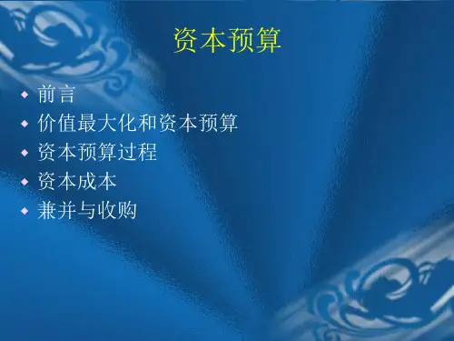 管理经济学资本预算