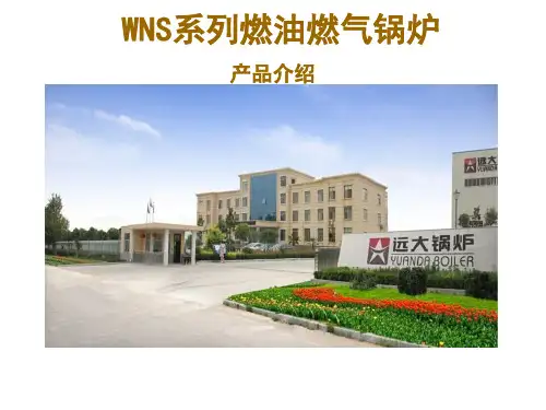 1-10吨燃气蒸汽锅炉介绍