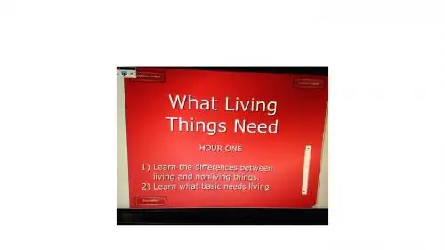 生物需要什么what living things need