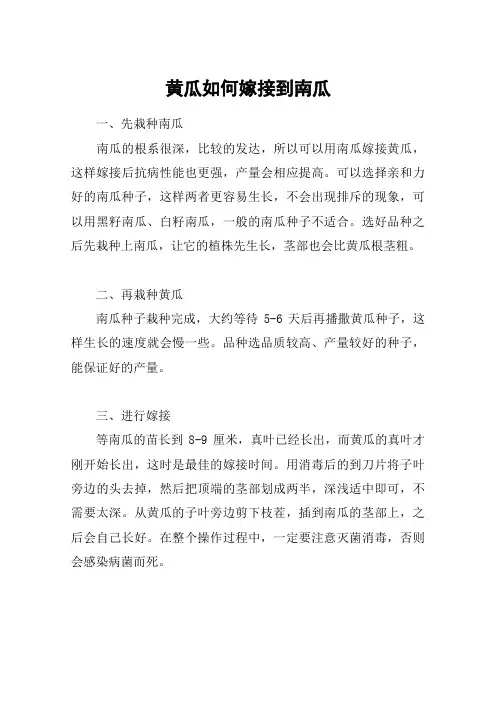 黄瓜如何嫁接到南瓜