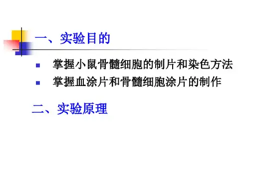 小鼠骨髓细胞染色体畸变