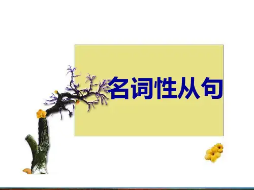 名词性从句(1)