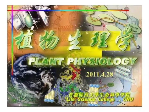 植物生理上课课件