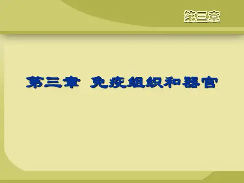 免疫学第三章 淋巴器官