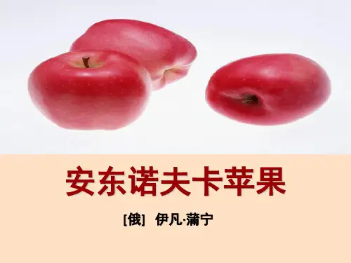 《安东诺夫卡苹果》精品课件