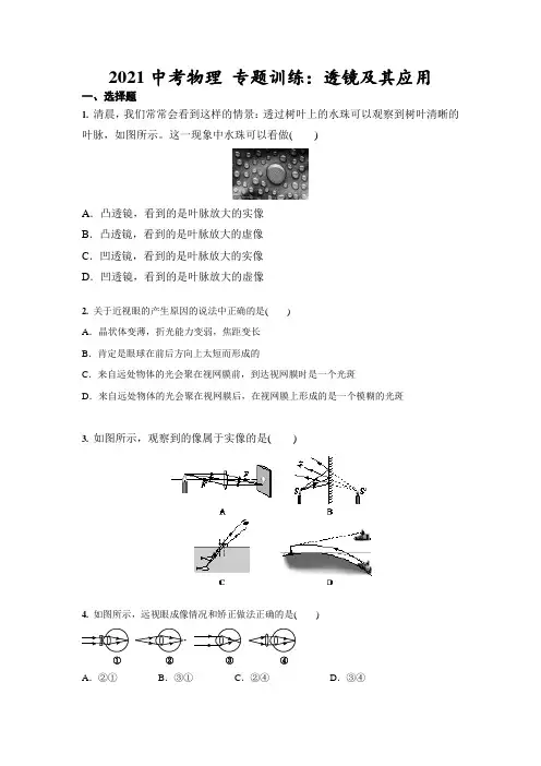 2021年中考物理 专题训练：透镜及其应用(含答案)