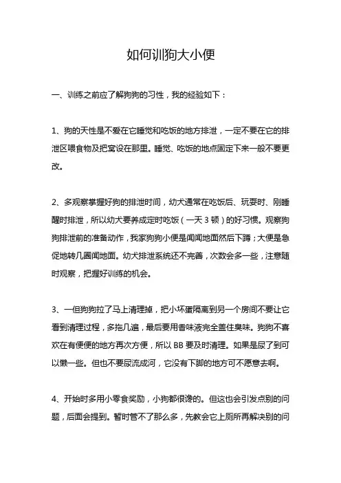 如何训练狗狗大小便