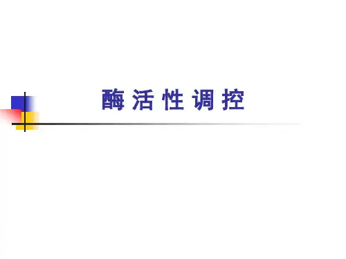 酶 活 性 调 控
