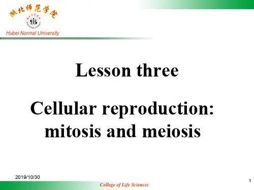 大学生物专业英语lessonthree