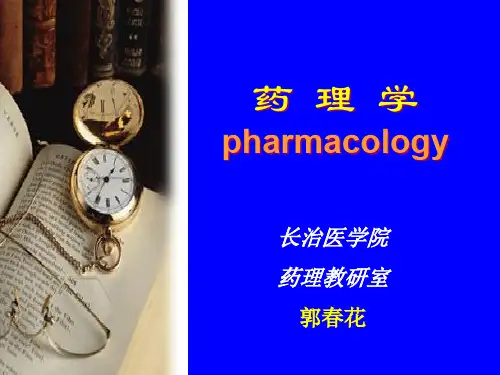 第二章 药物代谢动力学
