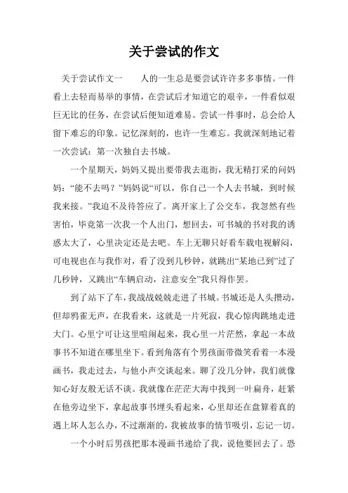 关于尝试的作文