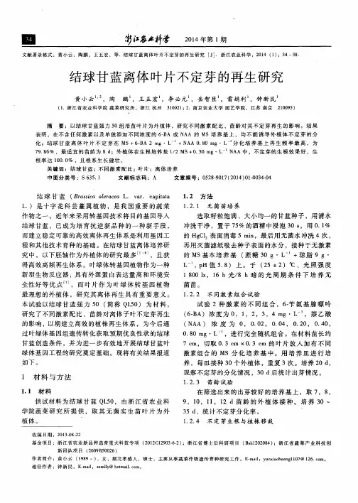 结球甘蓝离体叶片不定芽的再生研究
