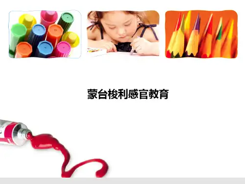 蒙台梭利感官教育