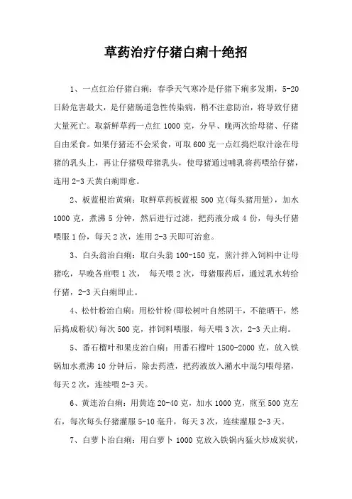 草药治疗仔猪白痢十绝招