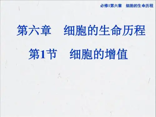 高考生物一轮复习:必修1第六章第1节 细胞的增值