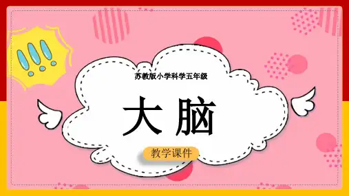 小学科学苏教版五年级全册《51大脑教案》课件