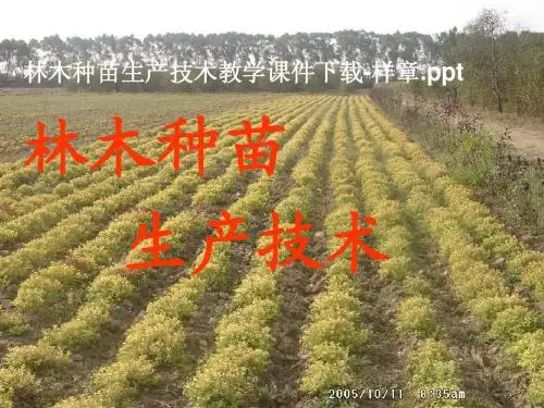 林木种苗生产技术教学课件下载-样章ppt