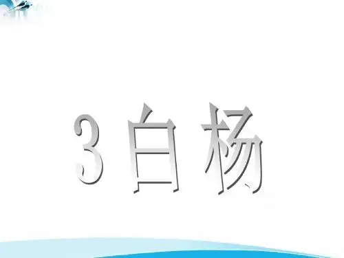 3白杨3白杨ppt课件2