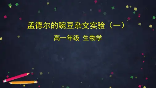人教版高一生物必修二孟德尔的豌豆杂交实验一
