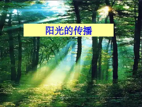 《阳光的传播》PPT课件