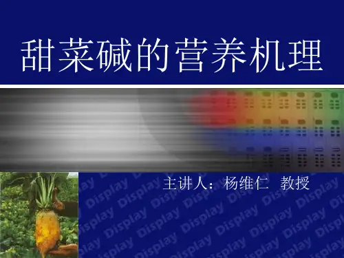 甜菜碱的营养机理(精)