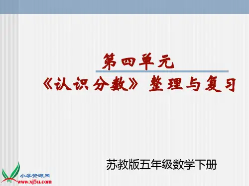 (苏教版)五年级数学下册第4单元整理与复习
