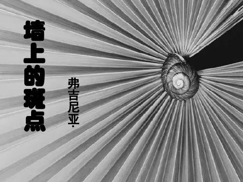 最新《墙上的斑点》优秀课件