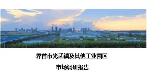 安徽界首工业发展及工业园区市场调研报告1108