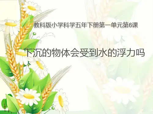 浙教版《水的浮力》精品教学课件1