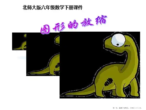 六年级数学下册 图形的放缩课件 北师大版