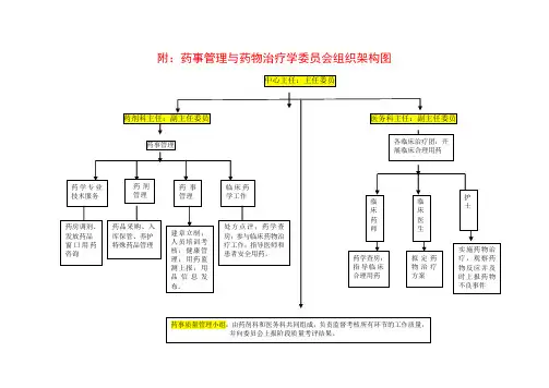 药事管理组织机构图(模板)