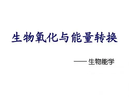 5生物氧化