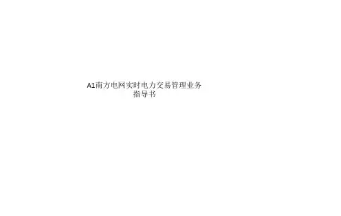 A1南方电网实时电力交易管理业务指导书