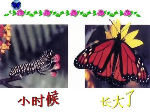 1.2.1昆虫的生殖和发育